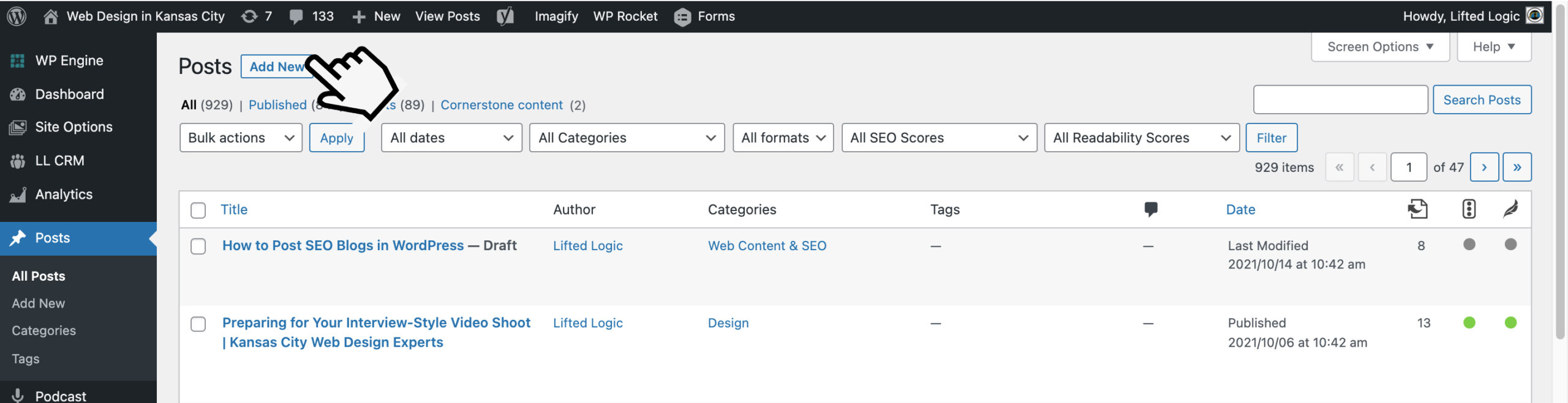 WordPress Backend, add new post when Posting SEO Blogs in WordPress