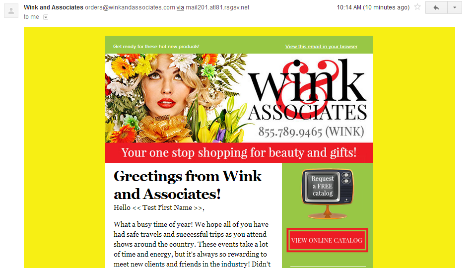 wink newsletter