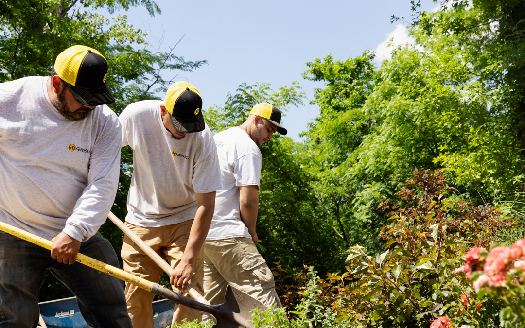 A group of landscapers use shovels for a new client after launching a better website