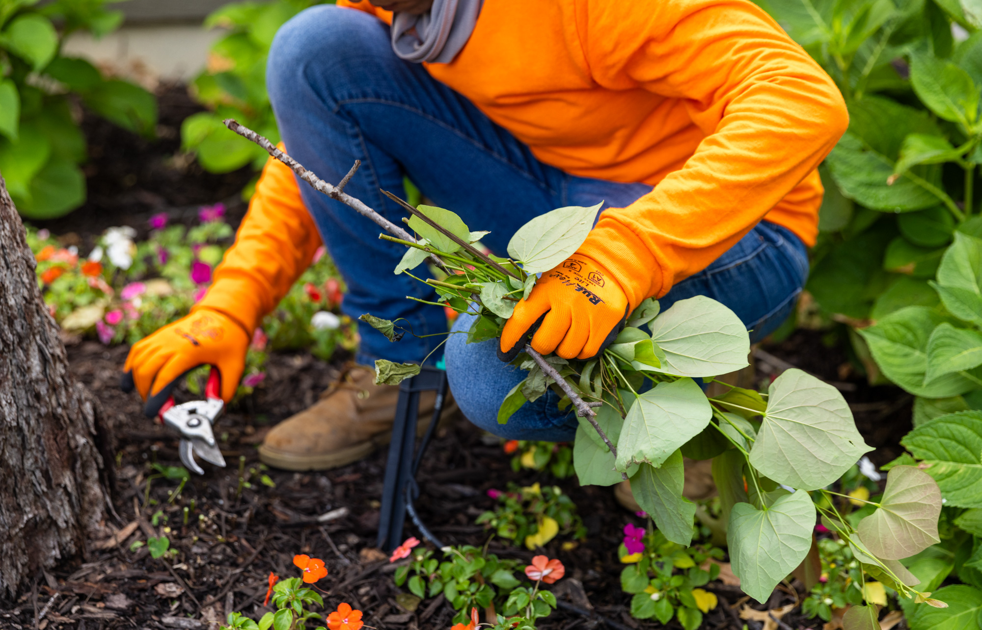 A landscaper working for a client he got because of his new website design